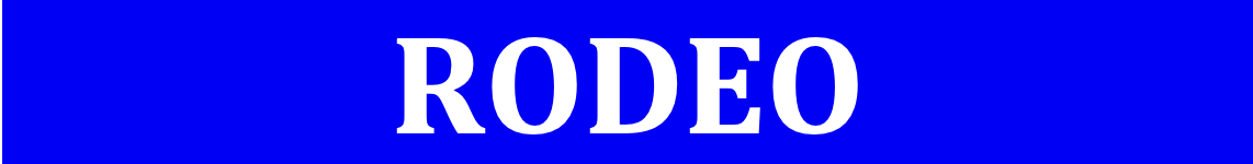 Logo marque Rodeo